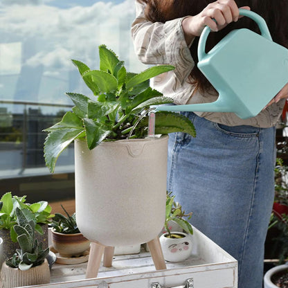 Self-Watering Pot with Stand