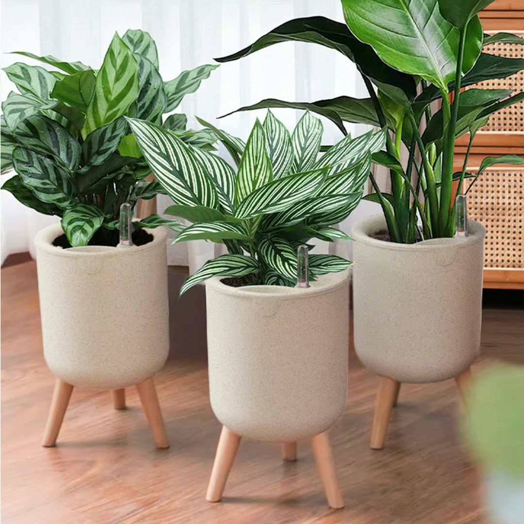 Self-Watering Pot with Stand