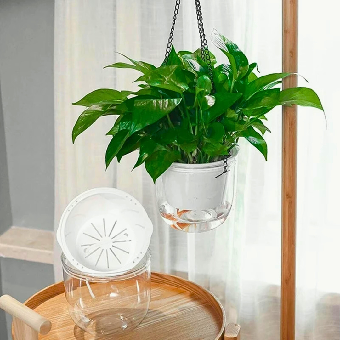 Clear self-watering hanging planters for indoor plants 