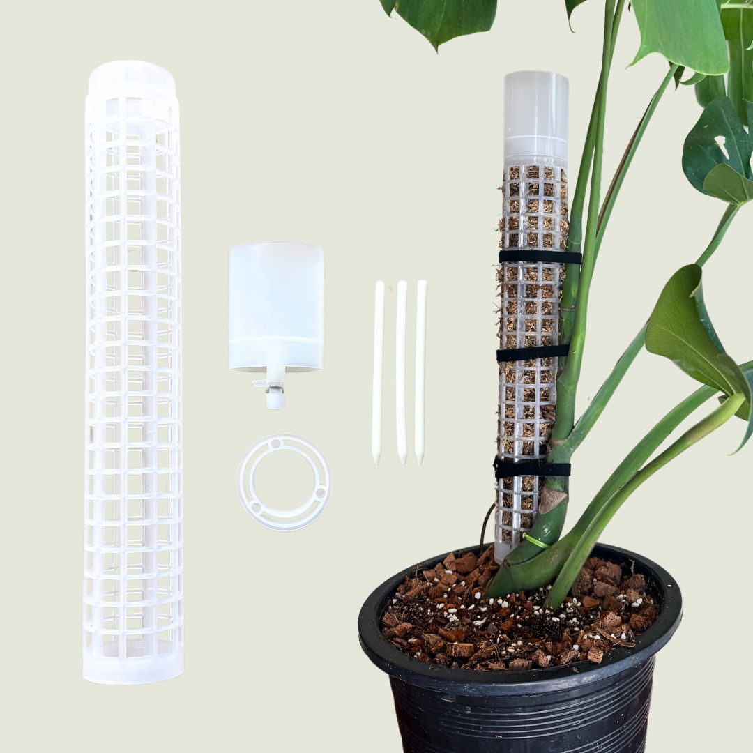 Self-watering moss pole with a drainage valve and spikes for indoor plants